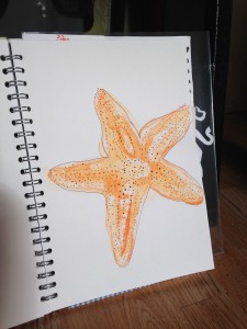 ink and pen starfish